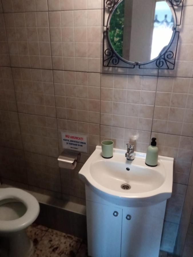 ホテルCasa Iuliana Subcetate  エクステリア 写真
